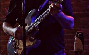 360Rize guitar and penguin